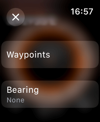 WatchOS user interface for the Apple Compass application