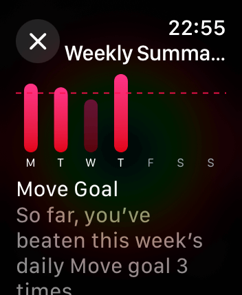 WatchOS user interface for the Apple Fitness application