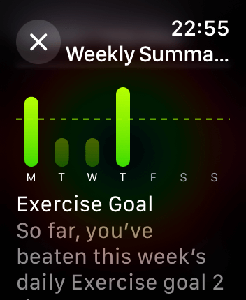 WatchOS user interface for the Apple Fitness application