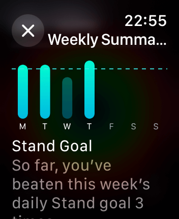 WatchOS user interface for the Apple Fitness application