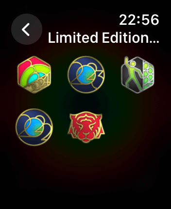 WatchOS user interface for the Apple Fitness application