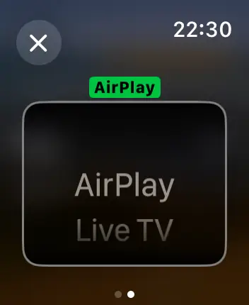 WatchOS user interface for the Apple Home application