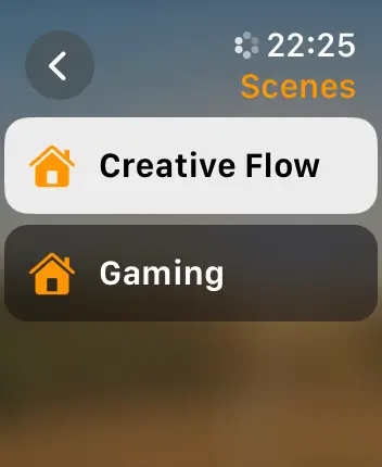 WatchOS user interface for the Apple Home application