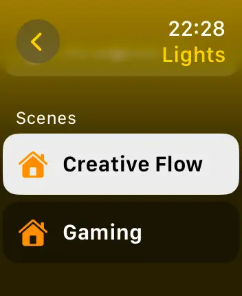 WatchOS user interface for the Apple Home application