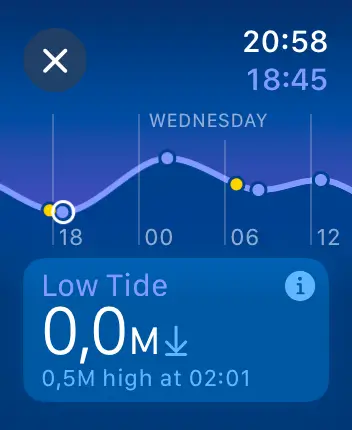 WatchOS user interface for the Apple Tides application