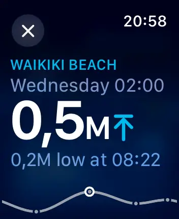 WatchOS user interface for the Apple Tides application