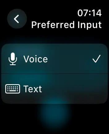 WatchOS user interface for the Apple Translate application