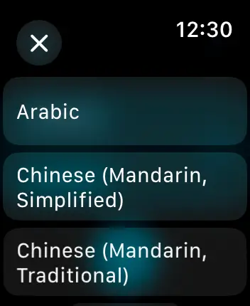 WatchOS user interface for the Apple Translate application