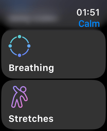 WatchOS user interface for the Calm application
