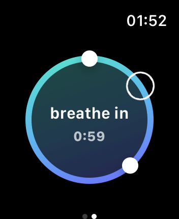 WatchOS user interface for the Calm application