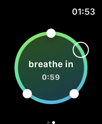 WatchOS user interface for the Calm application