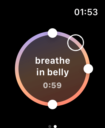 WatchOS user interface for the Calm application