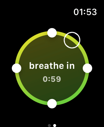 WatchOS user interface for the Calm application