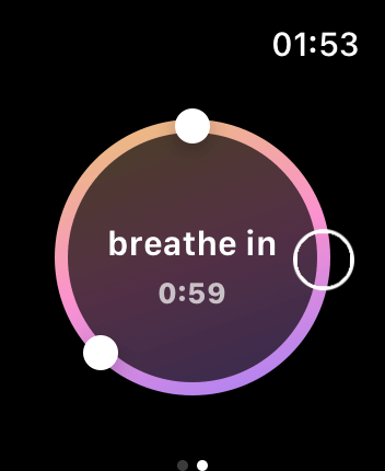 WatchOS user interface for the Calm application