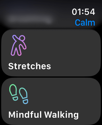 WatchOS user interface for the Calm application