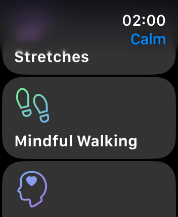 WatchOS user interface for the Calm application