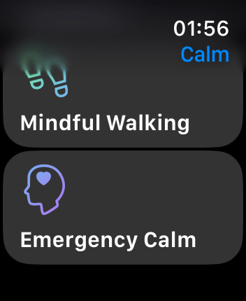 WatchOS user interface for the Calm application