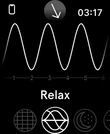 WatchOS user interface for the Endel application