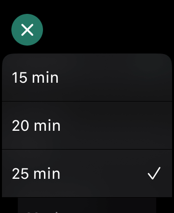 WatchOS user interface for the Flow application