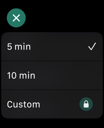 WatchOS user interface for the Flow application