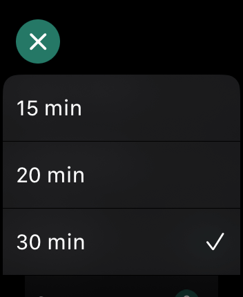 WatchOS user interface for the Flow application