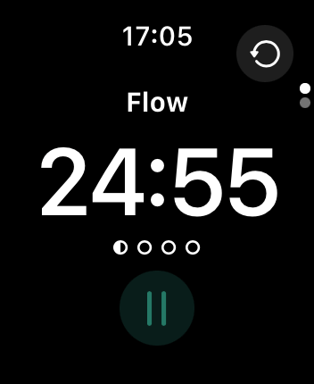 WatchOS user interface for the Flow application