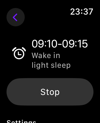WatchOS user interface for the Rise application