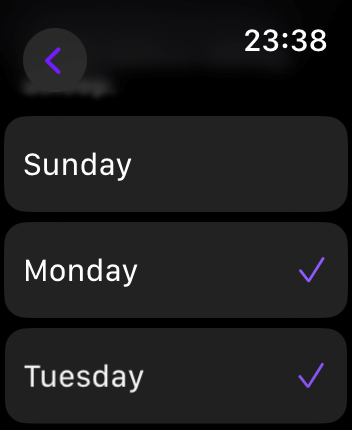 WatchOS user interface for the Rise application
