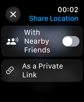 WatchOS user interface for the Slopes application