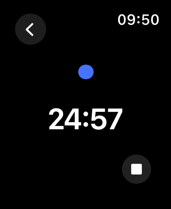 WatchOS user interface for the TickTick application
